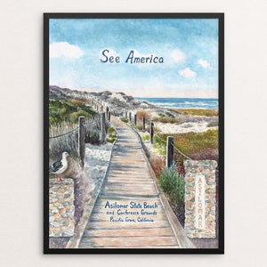 Asilomar State Beach and Conference Grounds by Elizabeth Kennen