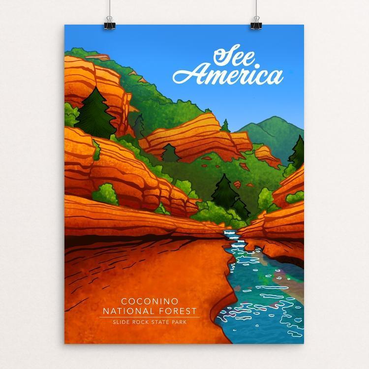 Coconino National Forest by Amanda Matthews