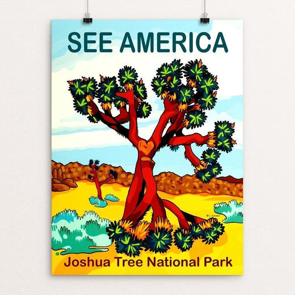 joshua-tree-national-park-by-