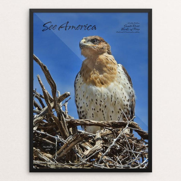 Morley Nelson Snake River Birds of Prey National Conservation Area 2 b