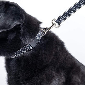 RBG Dog Collar by Aditi Raychoudhury Pet Accessories Creative Action Network