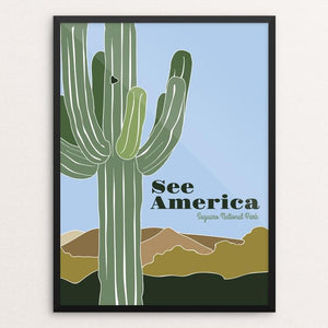 Saguaro National Park 2 by Jessica Gerlach