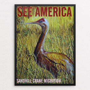 Sandhill Crane Migration by Bruce and Scott Sink