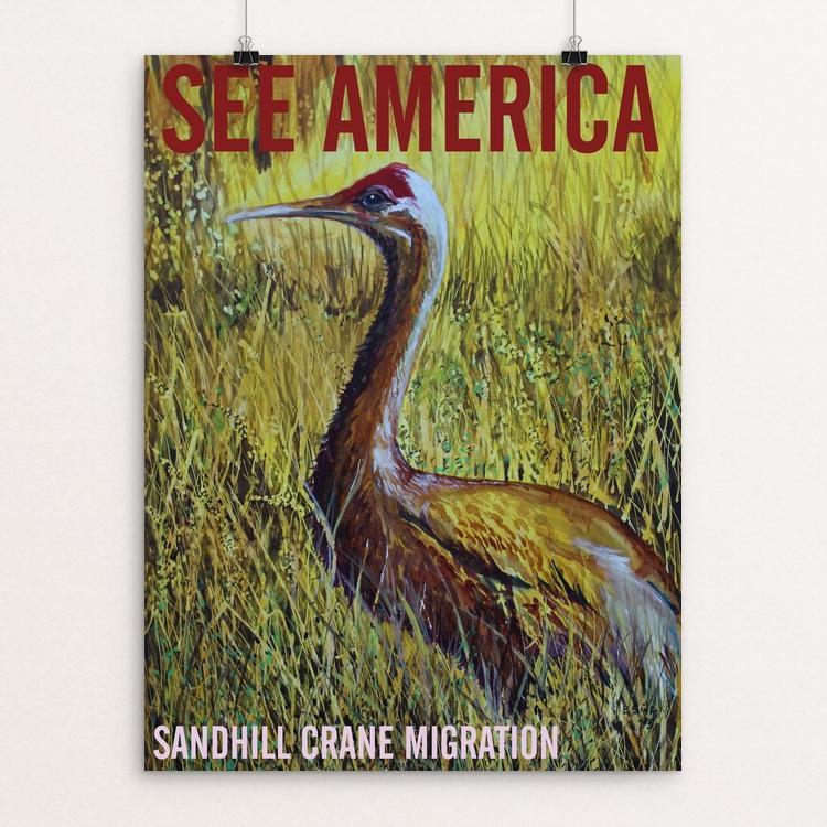 Sandhill Crane Migration by Bruce and Scott Sink