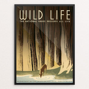 Wild Life - The National Parks Preserve All Life. by Frank S. Nicholson