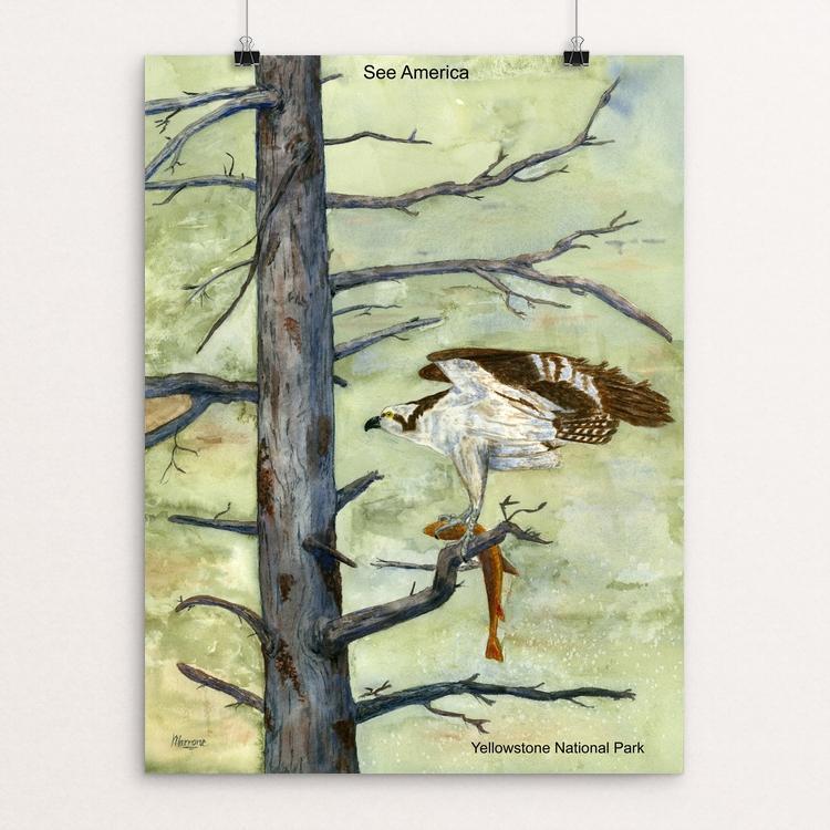 Yellowstone National Park by Vito Marrone