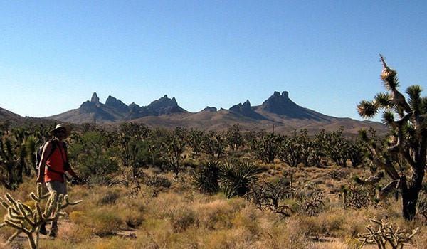 New National Parks (Almost)!