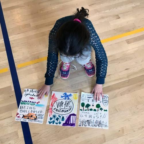 Vote the Environment in the Classroom