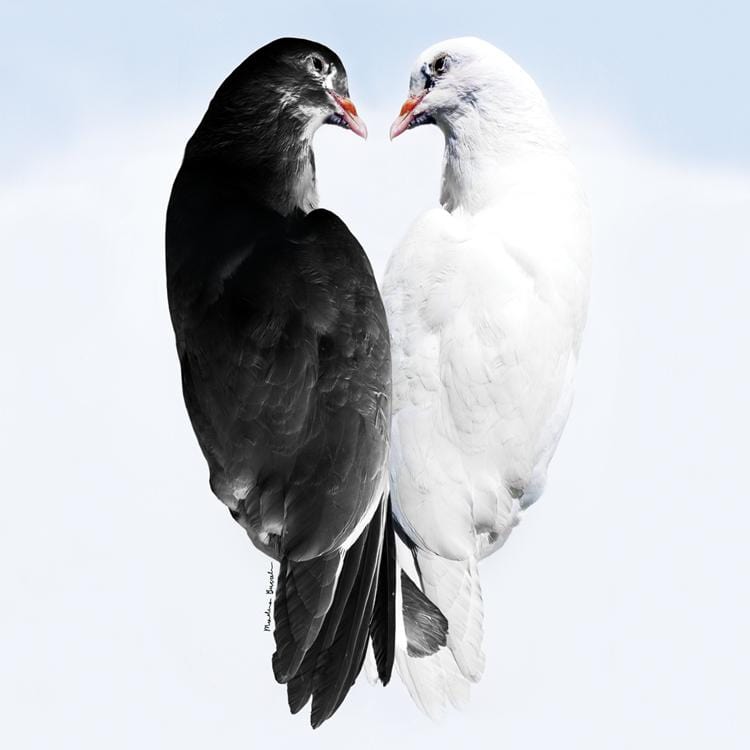 Marlena Buczek Smith