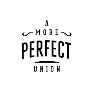 A More Perfect Union 4 by J.D. Reeves