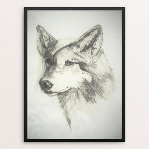 Beautiful Grey Wolf by Deborah Gorga