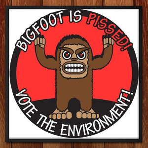 Bigfoot is Pissed! by E. Michelle Peterson