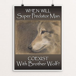 Brother Wolf by Eileen Brennan-Porter