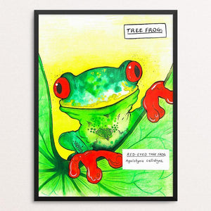 Curious Tree Frog by Rob Wilkinson