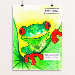 Curious Tree Frog by Rob Wilkinson