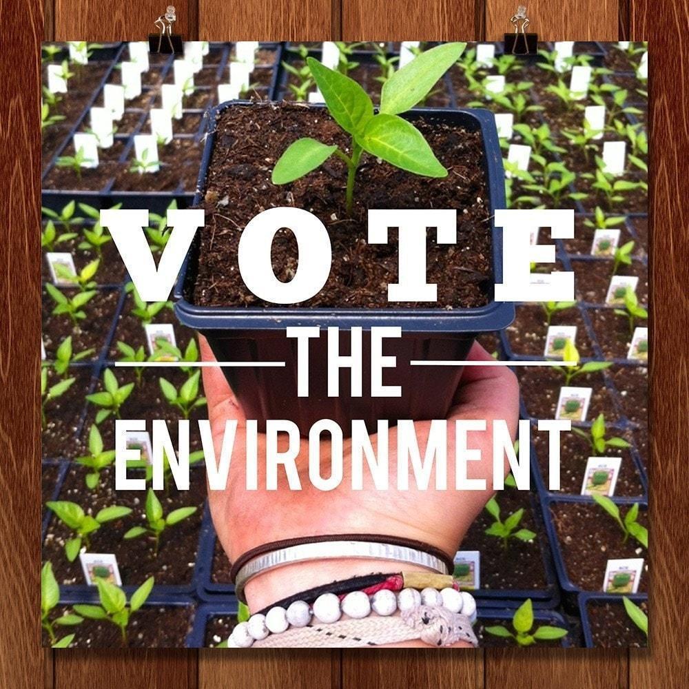 Eat Local, Think Global & Vote the Environment by Ellen Hallman