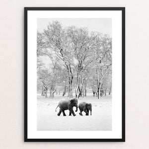 Elephants in the snow by Richard Alton