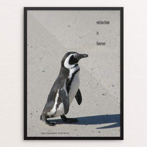 Extinction Is Forever - African penguin by Vivian Chang