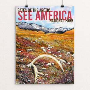 Gates of the Arctic National Park - Caribou Antler by Bruce and Scott Sink