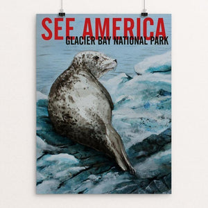 Glacier Bay National Park -- Harbor Seal by Bruce and Scott Sink