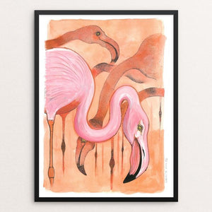 Grazing Flamingoes by Rob Wilkinson