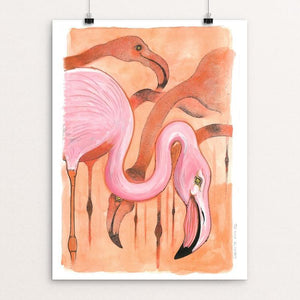 Grazing Flamingoes by Rob Wilkinson