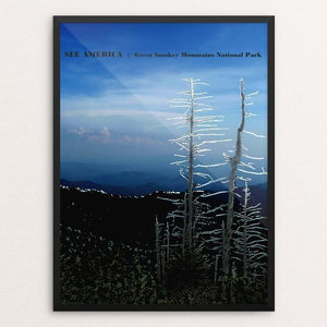 Great Smokey Mountain National Park 2 by Bryan Bromstrup