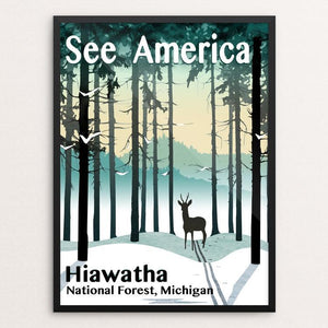 Hiawatha National Forest by Mike Stockwell