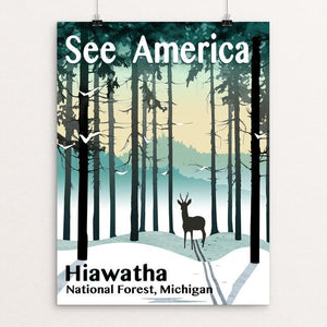 Hiawatha National Forest by Mike Stockwell