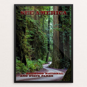 Howland Giant, Redwood National and State Parks by Mario Vaden