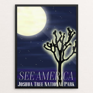 Joshua Tree National Park by Danielle Simpson