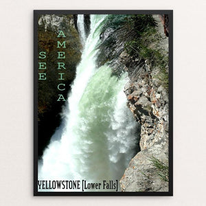 Lower Falls, Yellowstone National Park by Bryan Bromstrup