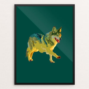 Mexican Gray Wolf by Anthony Chiffolo