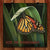 Monarch Butterfly by Dan Gardiner