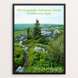 Monongahela National Forest Wilderness Area by Anthony Chiffolo