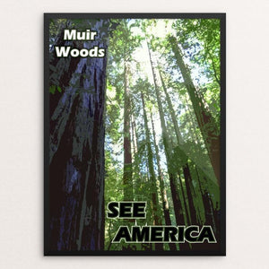 Muir Woods National Monument by Eitan S. Kaplan