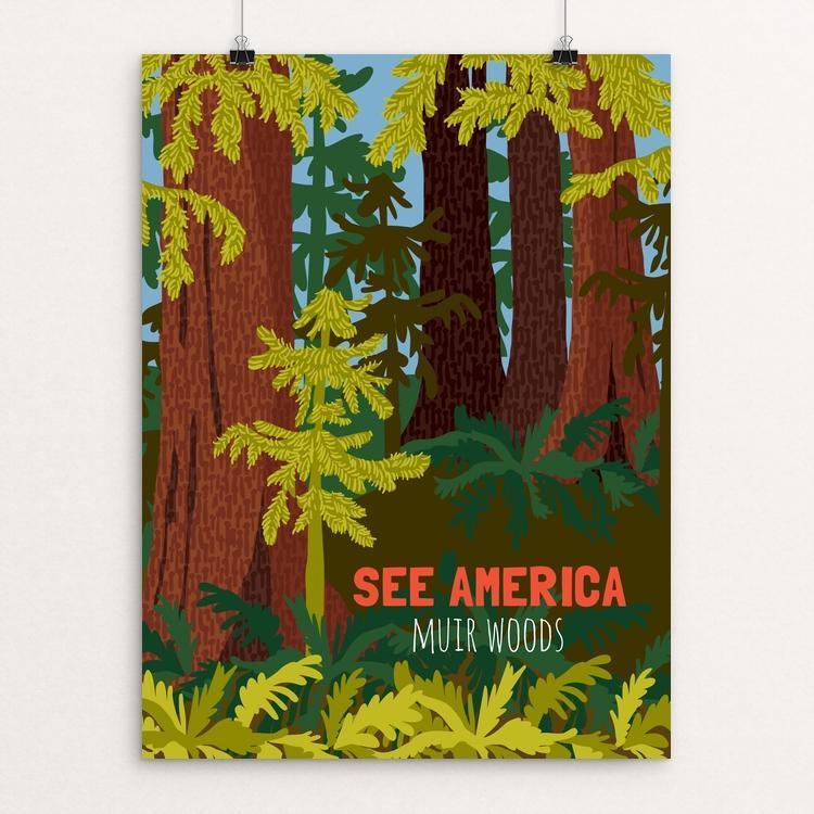 Muir Woods National Monument by Shayna Roosevelt