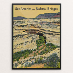 Natural Bridges National Monument by Bryan Bromstrup