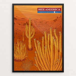 Organ Pipe Cactus National Monument by Brixton Doyle