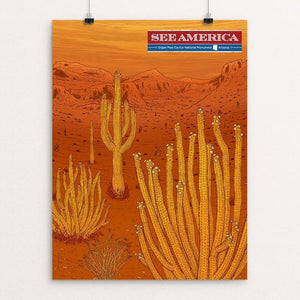 Organ Pipe Cactus National Monument by Brixton Doyle