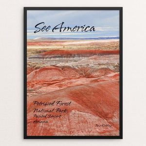 Petrified Forest National Park 2 by Jane Rohling