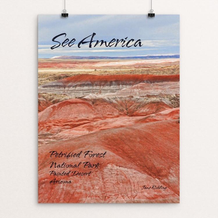 Petrified Forest National Park 2 by Jane Rohling