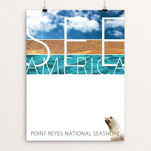 Point Reyes National Seashore by Fernando Horta