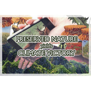 Preserved Nature Yields Climate Victory by Monika Mori