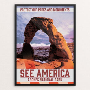Protect Our Parks: Arches by Christopher Williams