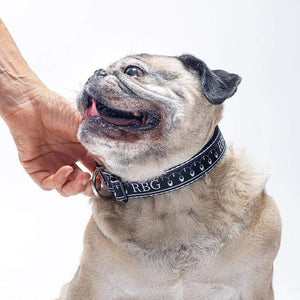 RBG Dog Collar by Aditi Raychoudhury Pet Accessories Creative Action Network