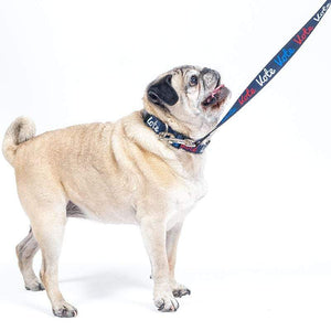 Red, White and Vote Dog Leash by Paula Kong Pet Accessories Creative Action Network