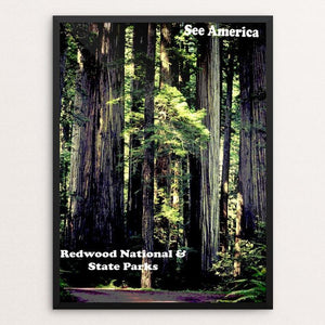 Redwood National and State Parks by Colin Wheeler