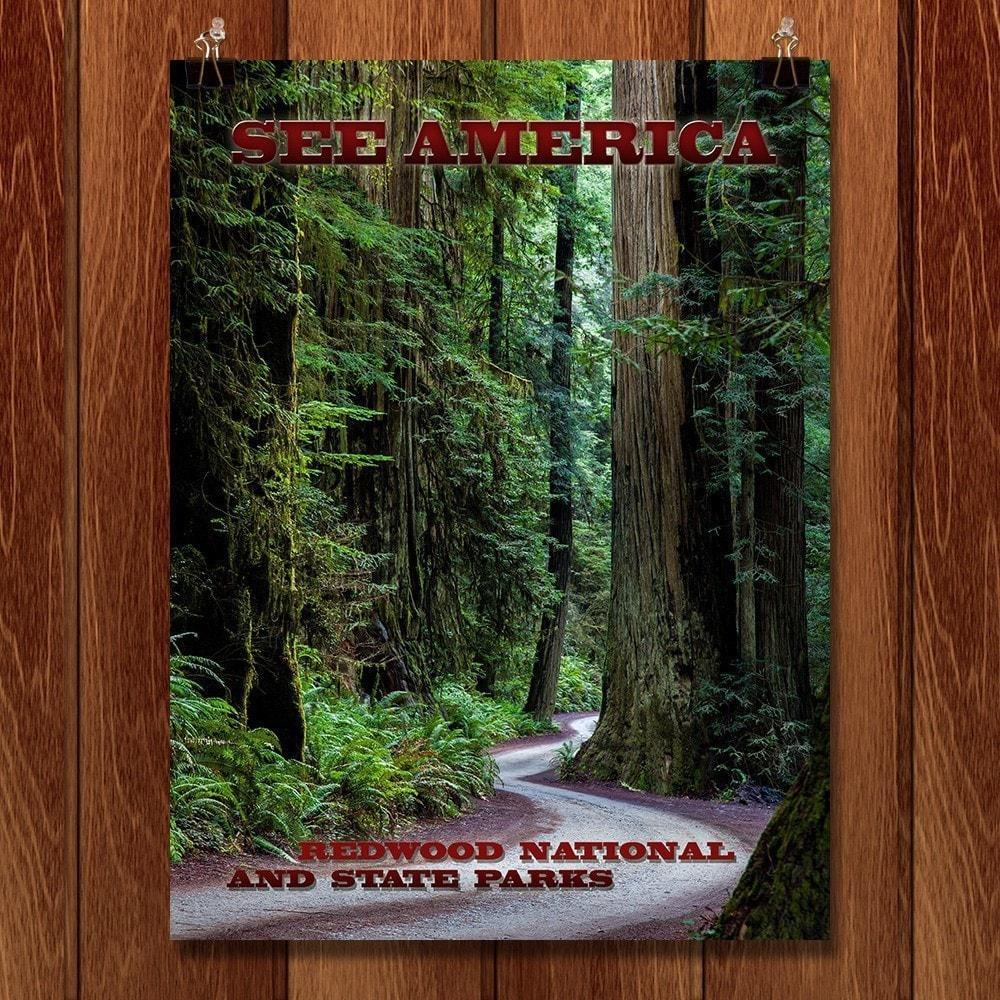 Redwood National and State Parks by Mario Vaden