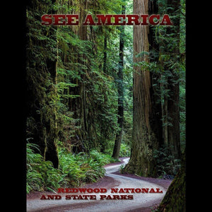 Redwood National and State Parks by Mario Vaden